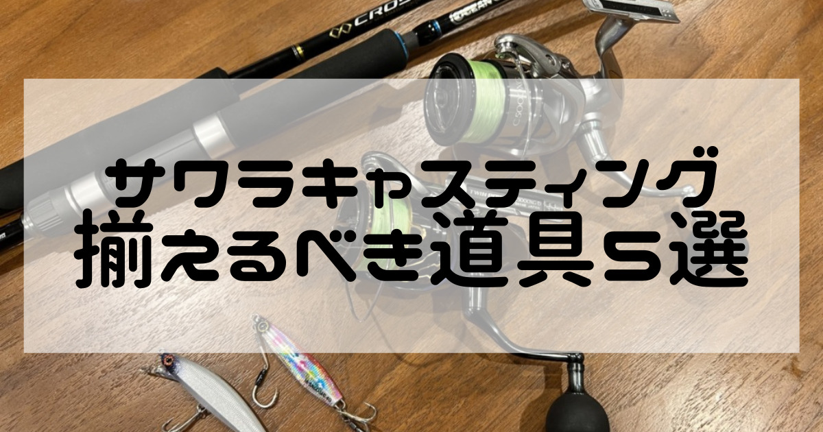 9周年記念イベントが 送料コミコミ ワイヤーリーダー 25cm 10本セット 太刀魚 サゴシ サワラ ワインド テンヤ 釣具 ワーム ルアー まとめ 釣り具 リーダー