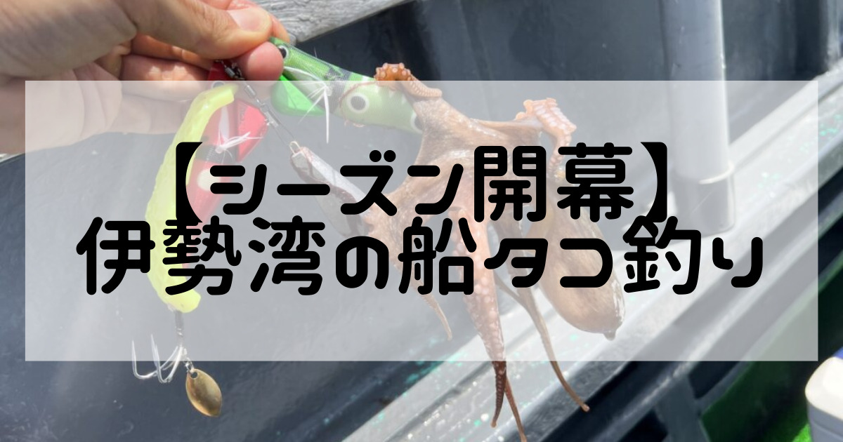 伊勢湾でタコ釣り 初心者でも簡単 伊勢湾の遊漁船で船タコ釣り